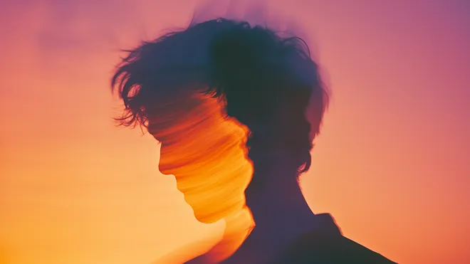 Silhouetted profile dissolving into a warm evening sky