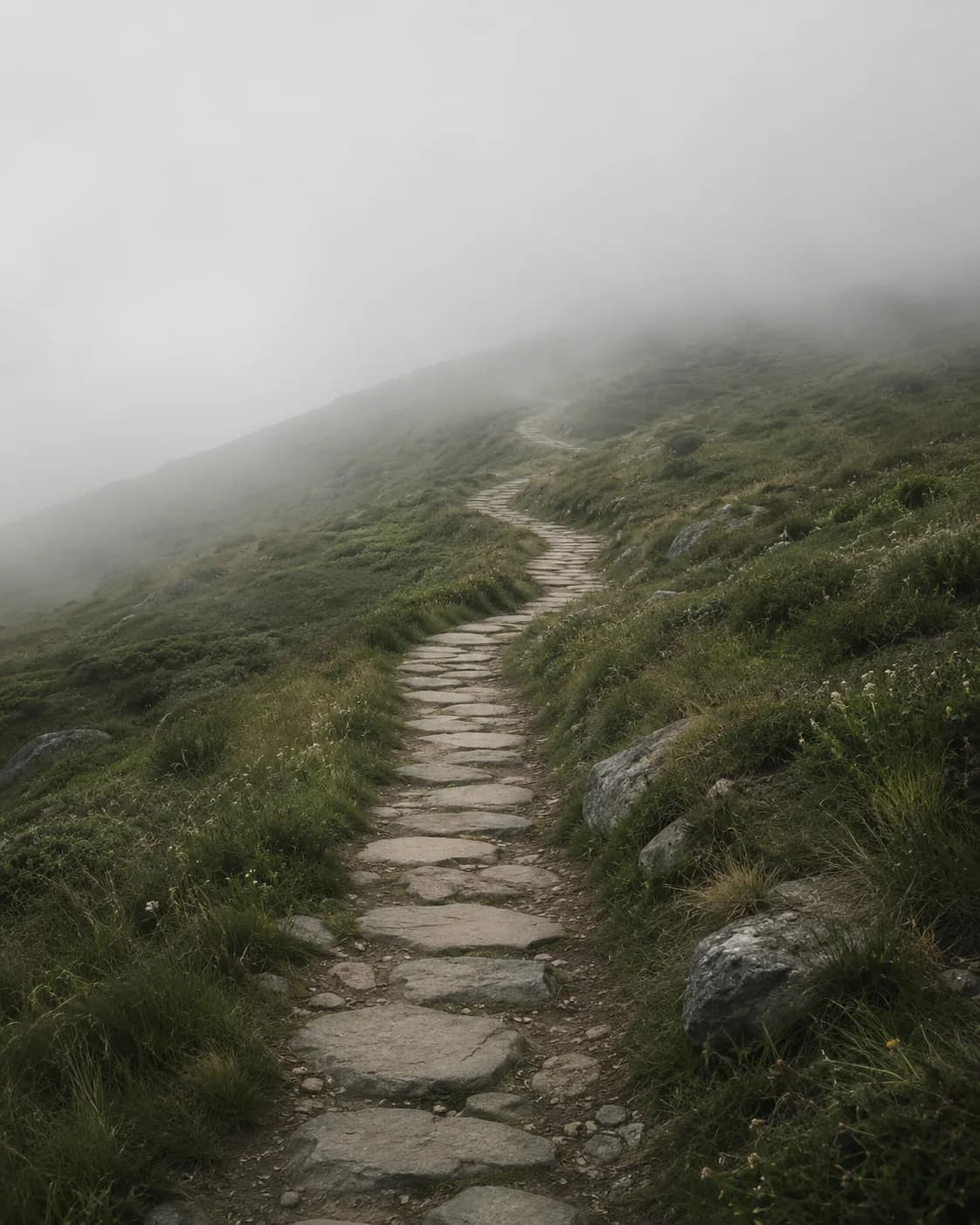 A stone path climbing into the mist